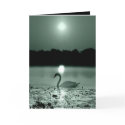 Swan Lake cards