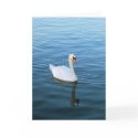 Swan Lake cards by Floragardening Swan Lake cards