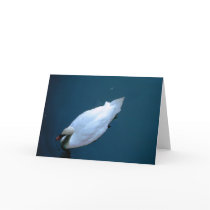 Swan Lake CARD