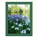Swan Lake Iris Garden posters