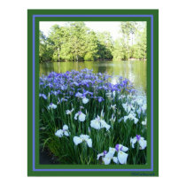 Swan Lake Iris Garden posters