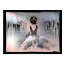 Swan Lake Post Card