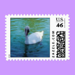 Swan Lake - postage postage