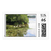 Swan Lake postage