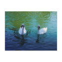 Swan Lake - postcard by Horseshoes3 Swan Lake - postcard