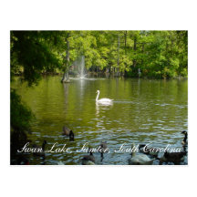Swan Lake Postcard