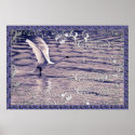 swan Lake posters