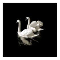 Swan Lake - print