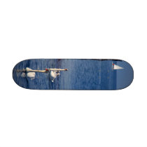 Swan Lake skateboards by Leenasart Swan Lake skateboards