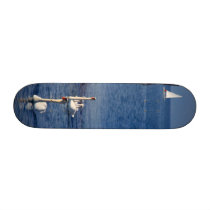 Swan Lake skateboards by Leenasart Swan Lake skateboards