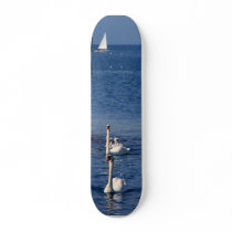 Swan Lake skateboards by Leenasart Swan Lake skateboards