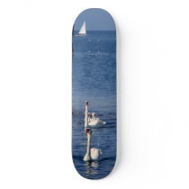 Swan Lake skateboards by Leenasart Swan Lake skateboards