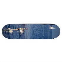 Swan Lake skateboards by Leenasart Swan Lake skateboards