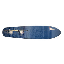 Swan Lake skateboards by Leenasart Swan Lake skateboards