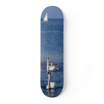Swan Lake skateboards by Leenasart Swan Lake skateboards