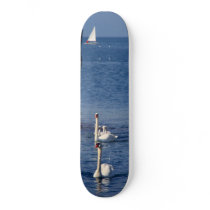 Swan Lake skateboards by Leenasart Swan Lake skateboards