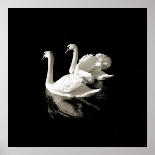 Swan Lake - (up to Large) poster print