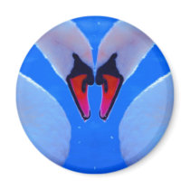 Swan Love, Romantic Heart Shaped Necks magnets