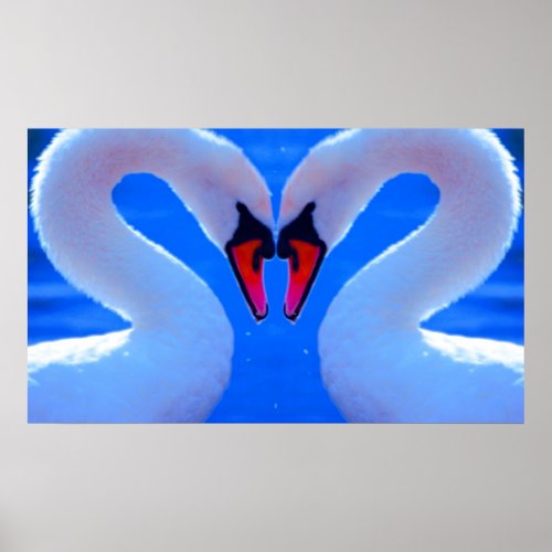 Swan Love, Romantic Heart Shaped Necks print