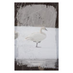 Swan Magicians Stationery Design