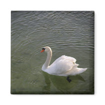Swan magnets by jarisley329 Swan magnets