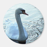 Swan Magnet magnets