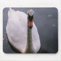 Swan mousepads