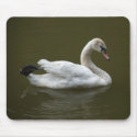 swan mousepads