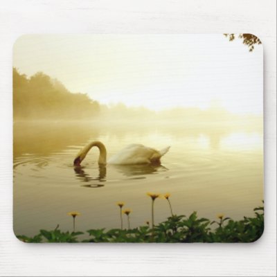 Swan mousepads