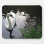 Swan Mousepad