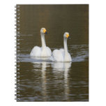 Swan Notebook