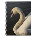 Swan Notebook