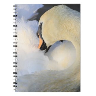 Swan Notebook