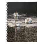 Swan Notebook