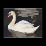 Swan on a Lake II postcards