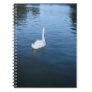 Swan on lake spiral notebook