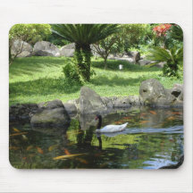 Swan on the Pond Mousepads