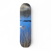 Swan On Tikvara Lake skateboards