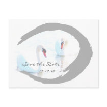 Swan Pair Wedding  - Save the Date Card Post Cards