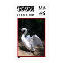 Swan postage