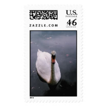 Swan postage