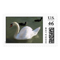 Swan postage by APeach Swan postage