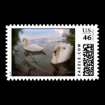 Swan Postage stamps