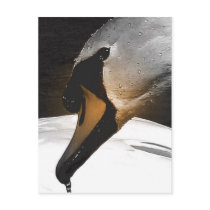 Swan postcards by angelandspot Swan postcards