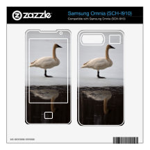 Swan Reflected Samsung Omnia Skins