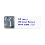 Swan Reflections Mailing Labels