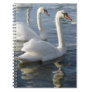 Swan Reflections Notebook