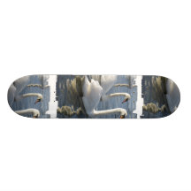 Swan Reflections Skateboard