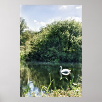 Swan River Print posters