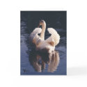 Swan ruffled feathers cards